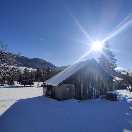Gîte Vallée Verte Burdignin Esterno foto