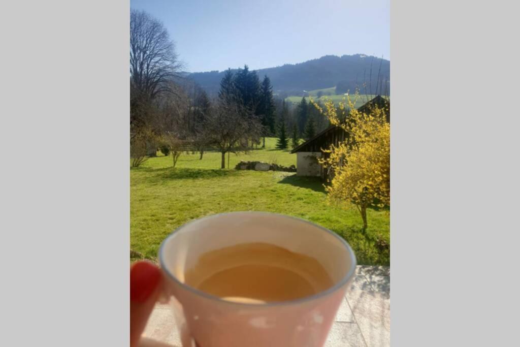Gîte Vallée Verte Burdignin Esterno foto