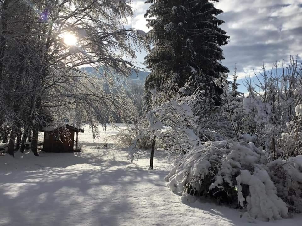 Gîte Vallée Verte Burdignin Esterno foto