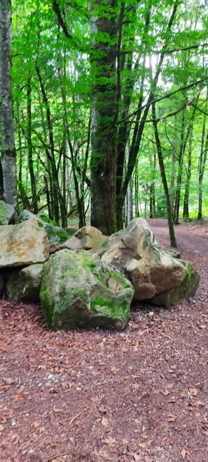 Gîte Vallée Verte Burdignin Esterno foto