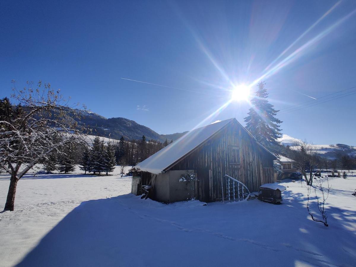 Gîte Vallée Verte Burdignin Esterno foto