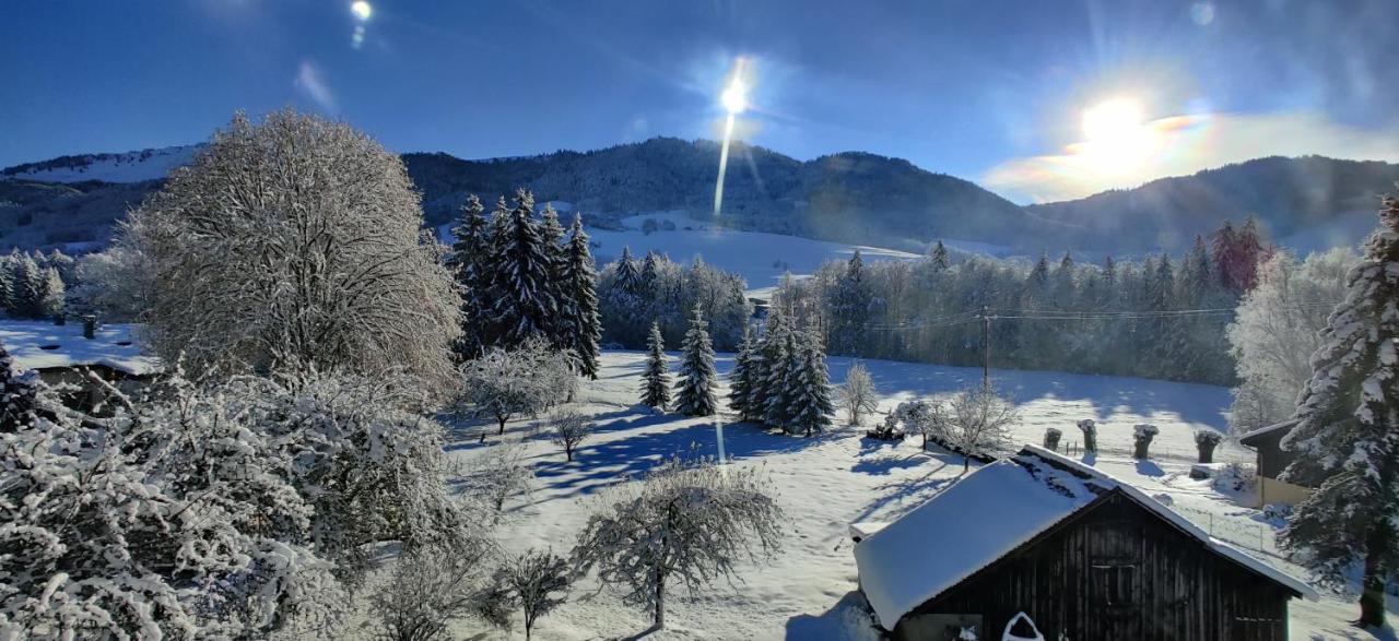 Gîte Vallée Verte Burdignin Esterno foto