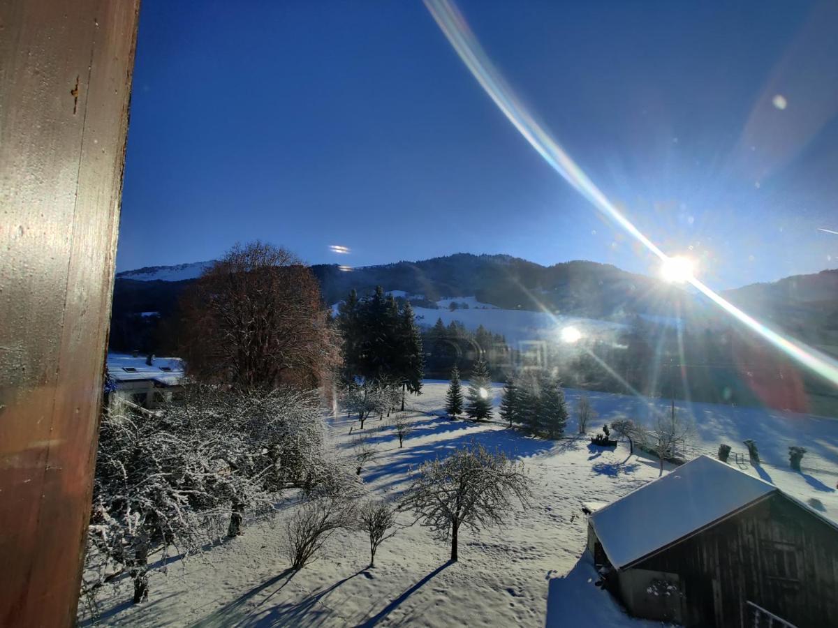 Gîte Vallée Verte Burdignin Esterno foto