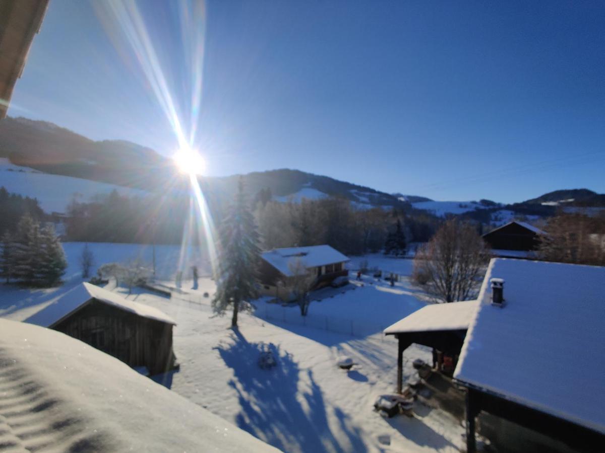 Gîte Vallée Verte Burdignin Esterno foto
